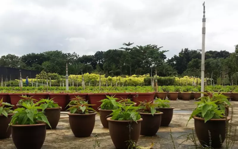 Eden Garden Farm Pte Ltd