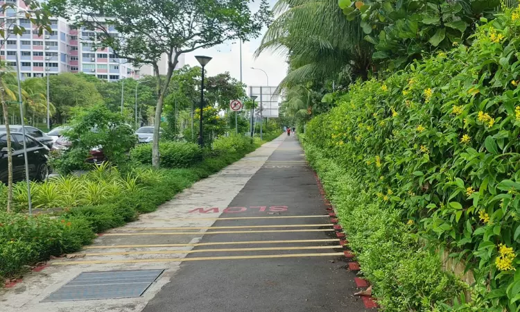 The streets of Pasir Ris Park Connector.