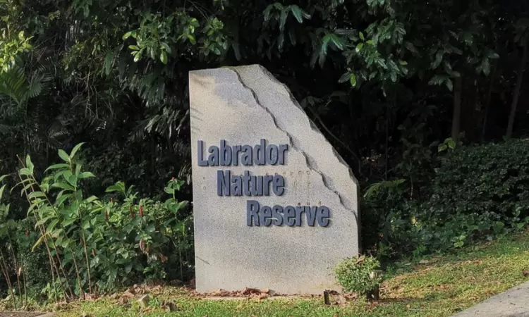 An image of Labrador Nature Reserve.