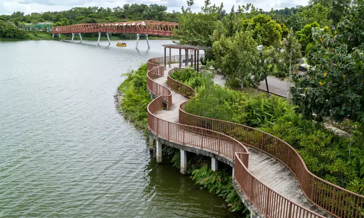 The walking bridge of Punggol Waterway Park.