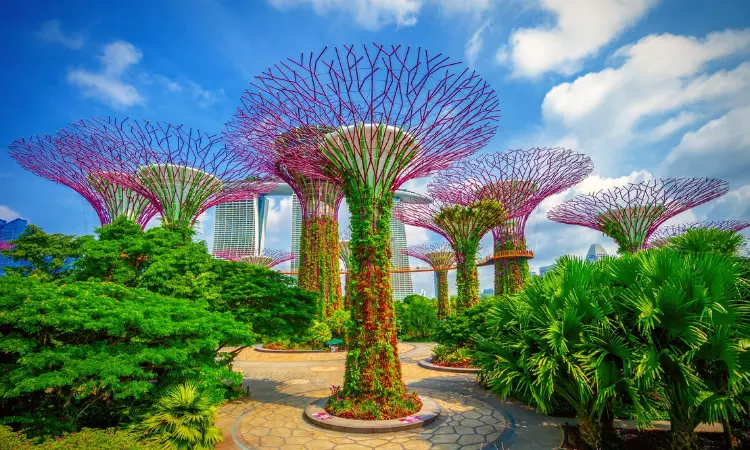 A beautiful image from Garden by the Bay.