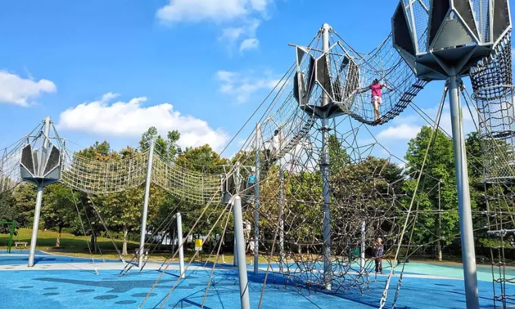 An image from the  Woodlands Waterfront Park playground.