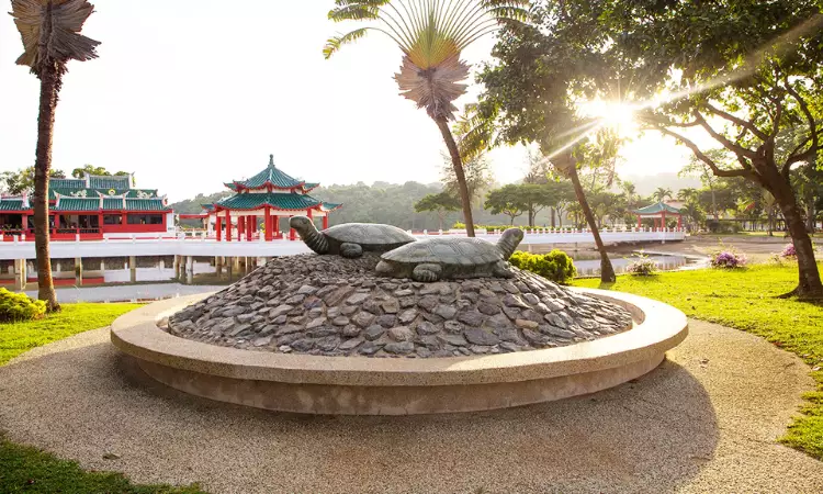 The statue of two tortoise at Kusu Island