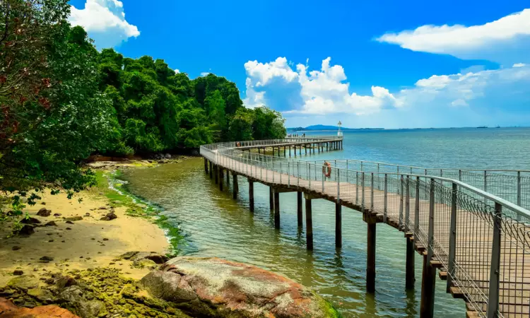 A walking bridge on the  Pulau Ubin - The Treasure Beach 