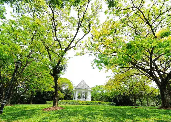 Singapore Botanic Gardens