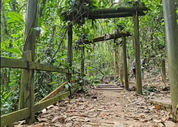 Bukit Batok Hillside Park