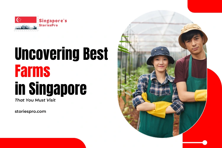 Farms in Singapore