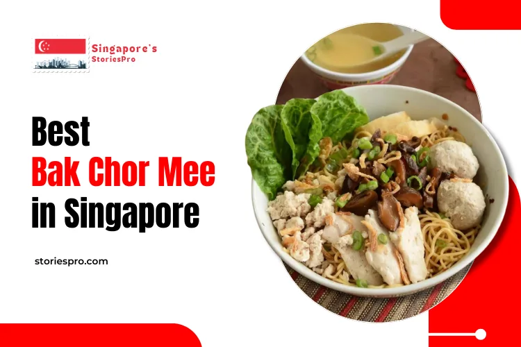 Bak Chor Mee In Singapore